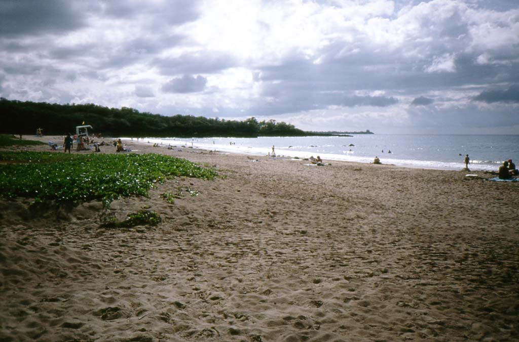 Lapakahi Beach